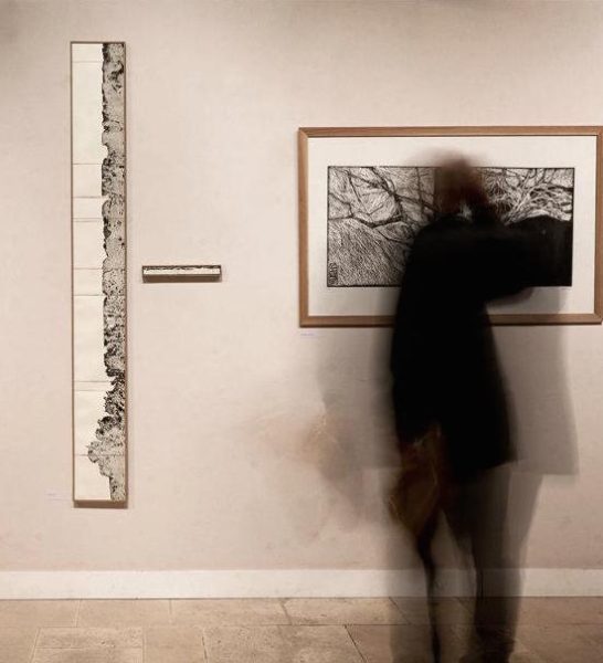 Petit/grand - Orangerie du château de Sucy en Brie – 2012